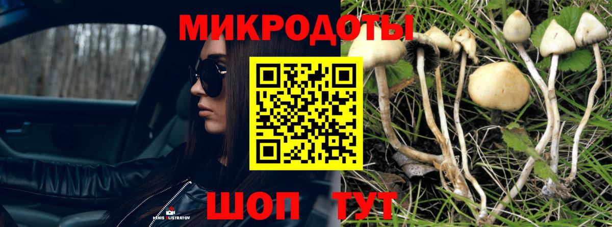 Псилоцибиновые грибы ЛСД Грязи