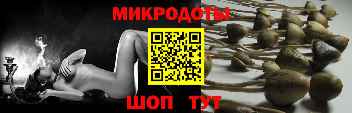 Галлюциногенные грибы Cubensis  Псилоцибиновые грибы мухоморы  Вход с VPN  Грязи 