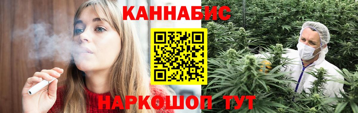 Канабис план Грязи